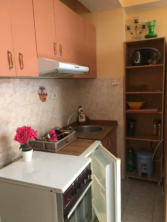 Ani Apartment Ohrid Bagian luar foto