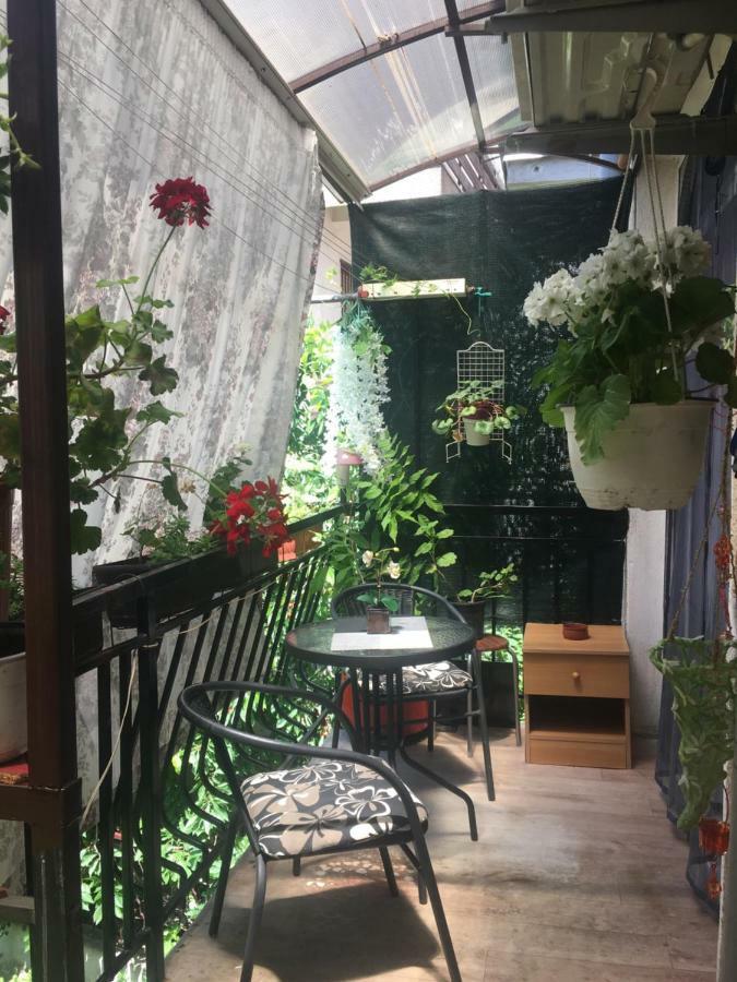 Ani Apartment Ohrid Bagian luar foto